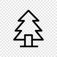 Christmas, needles, Christmas tree, fir icon svg