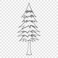 Christmas, tree, needles, cones icon svg