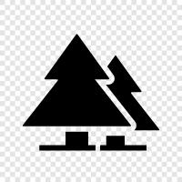 Christmas, needles, tree, pine icon svg