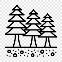 Weihnachtsbäume, Weihnachten, Bäume, Nadeln symbol