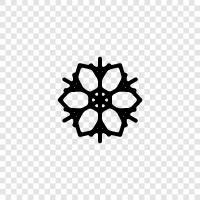 Christmas, snow, cold, winter wonderland icon svg