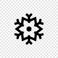 Christmas, snow, winter wonderland, cold icon svg