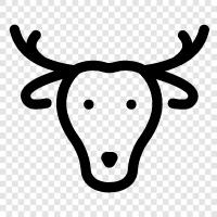 Christmas, Yukon, Alaska, reindeer icon svg