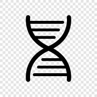 chromosome abnormalities, chromosome disorder, chromosome loss, chromosome gain icon svg