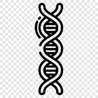 chromosome, genetic, DNA sequencing, gene icon svg