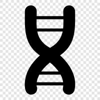 Chromosomen, genetischer Code, Gen, Mutation symbol