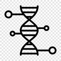 chromosomes, mutations, genes, heredity icon svg