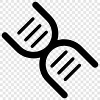 chromosomes, genetics, genetic disorders, DNA testing icon svg