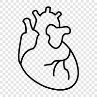 circulatory, pumping, blood, artery icon svg