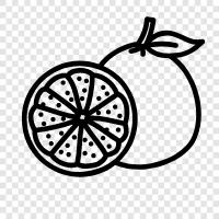 Citrus, Fruit, Toxicity, Diet icon svg