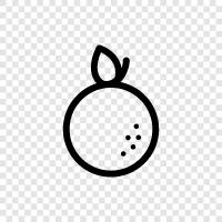 citrus, fruit, juice, skin icon svg