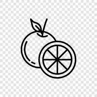 citrus, bell, juice, fruit icon svg