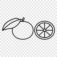 citrus, fruit, flavor, vitamin C icon svg