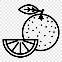 citrus, fruit, juice, vitamin C icon svg