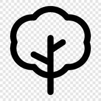 cloud, tree, data, storage icon svg