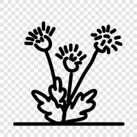 clover, blooming, flowers, nature icon svg