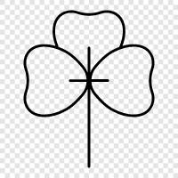 clovers, flower, blooming, gardening icon svg