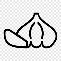 cloves, garlic cloves, garlic cooking, garlic recipes icon svg