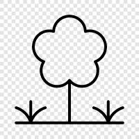 coastal, tree, shrub, ornamental icon svg