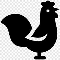 cock, chicken, farm, home icon svg