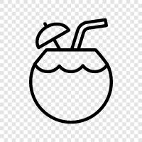 coconut, young, fresh, healthy icon svg