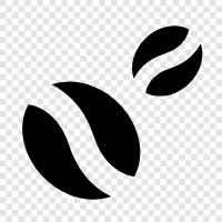 coffee beans for sale, best coffee beans, coffee beans icon svg