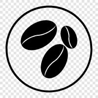 coffee, beans, roasted, grind icon svg