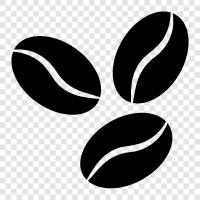 coffee, beans, coffee roaster, beans for coffee icon svg