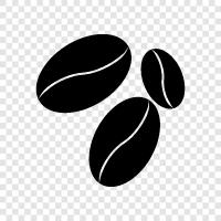 coffee, coffee beans for sale, coffee bean grinders, coffee beans for icon svg