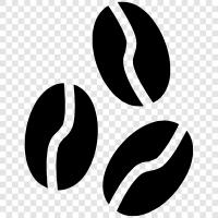 coffee, beans, coffee roaster, coffee beans online icon svg