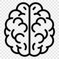 cognitive, brain function, brain diseases, brain injuries icon svg