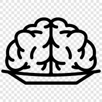 cognitive function, intelligence, memory, processing speed icon svg