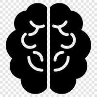 cognitive neuroscience, neuropsychology, brain imaging, cognitive neuroscience research icon svg