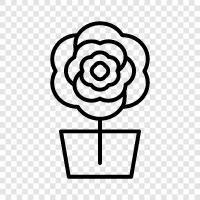 renkli, güzel, fragrant, petal ikon svg