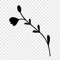 bunt, Blütenblätter, Schönheit, Blüte symbol