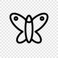 bunt, insekt, muster, flattern symbol