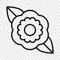 colors, petals, fragrance, Bloom icon svg