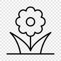 colors, petals, leaves, stem icon svg