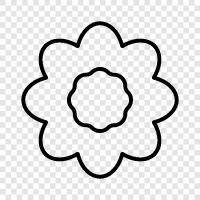 colors, Blooming, Blooms, Bouquet icon svg