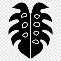 colossus, plants, lizards, amphibians icon svg