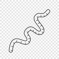 composting, vermicomposting, worm castings, earthworms icon svg