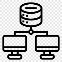 computer, software, networking, installation icon svg