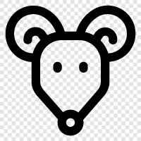 ComputerMäuse, optische Mäuse, TouchMäuse, drahtlose Mäuse symbol