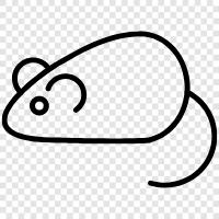 computer mouse, pointing device, tracking device, Mouse icon svg