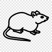 computer mouse, pointing device, cursor, tracking icon svg