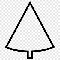 cone, needles, bark, growth icon svg