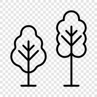 conservatory, gardens, hiking, nature icon svg