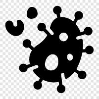 contagious diseases, viruses, cancer, heart disease icon svg