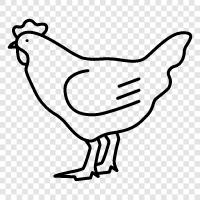 cooking, chicken soup, chicken Kiev, chicken thighs icon svg