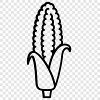 corn, kernels, cob, corn on the cob icon svg